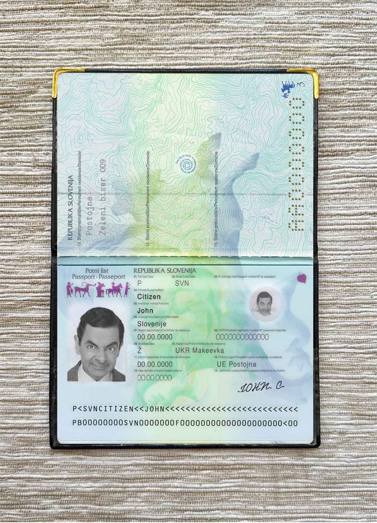 Slovenia passport photo look PSD template